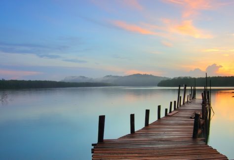 therapie-anxiete-covid-pandemie-solutions-stress-angoisse-Methodes-PEAT-2