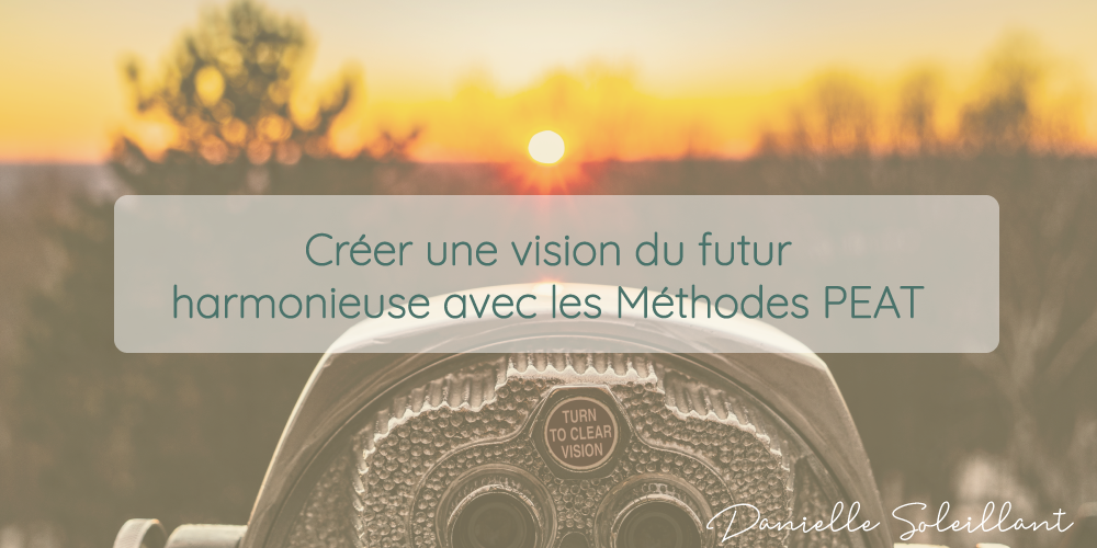 Comment créer une vision d’un futur harmonieux pour soi-même et pour tous avec les Méthodes PEAT ?